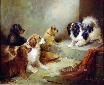 ami0002D15 動物 犬 Oil Paintings